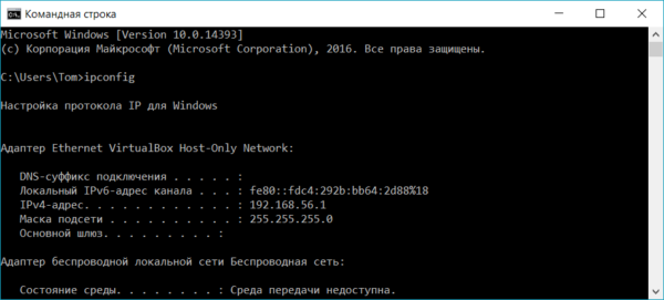 cannot run ipconfig windows 10